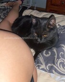 Анкета проститутки Яна - метро Нагатино-Садовники, возраст - 24